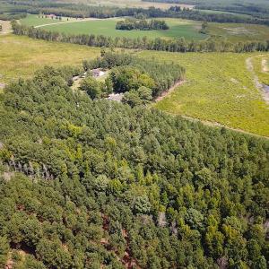 Photo #8 of Off Quarry Rd , Emporia, VA 11.7 acres