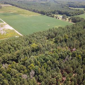 Photo #9 of Off Quarry Rd , Emporia, VA 11.7 acres