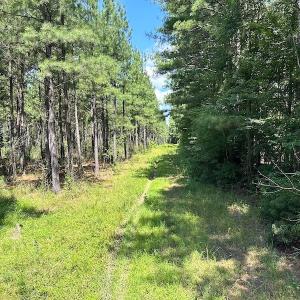 Photo #11 of Off Quarry Rd , Emporia, VA 11.7 acres