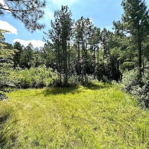 Photo #12 of Off Quarry Rd , Emporia, VA 11.7 acres