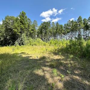 Photo #13 of Off Quarry Rd , Emporia, VA 11.7 acres