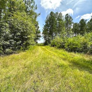 Photo #17 of Off Quarry Rd , Emporia, VA 11.7 acres