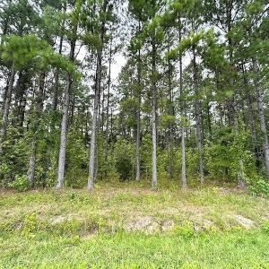 Photo #18 of Off Quarry Rd , Emporia, VA 11.7 acres
