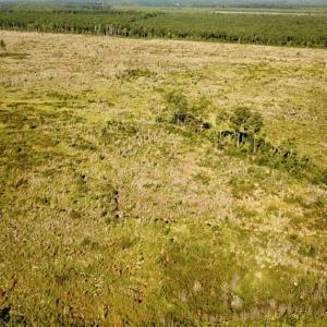 Photo #2 of Off Carolina Rd, Suffolk, VA 115.0 acres