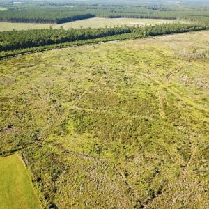Photo #3 of Off Carolina Rd, Suffolk, VA 115.0 acres