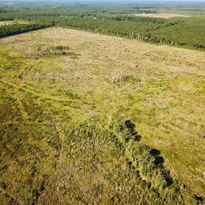 Photo #4 of Off Carolina Rd, Suffolk, VA 115.0 acres