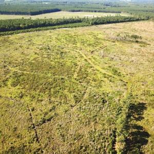 Photo #5 of Off Carolina Rd, Suffolk, VA 115.0 acres