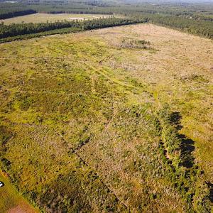 Photo #6 of Off Carolina Rd, Suffolk, VA 115.0 acres