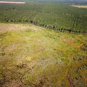Photo #7 of Off Carolina Rd, Suffolk, VA 115.0 acres