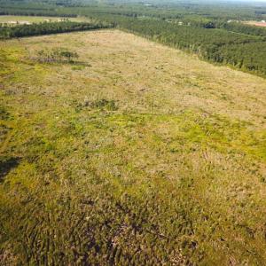 Photo #8 of Off Carolina Rd, Suffolk, VA 115.0 acres