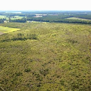 Photo #9 of Off Carolina Rd, Suffolk, VA 115.0 acres