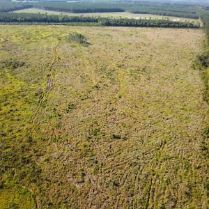 Photo #10 of Off Carolina Rd, Suffolk, VA 115.0 acres