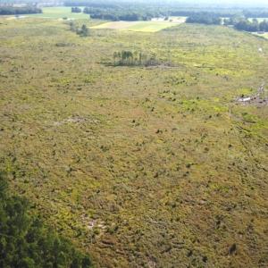 Photo #12 of Off Carolina Rd, Suffolk, VA 115.0 acres