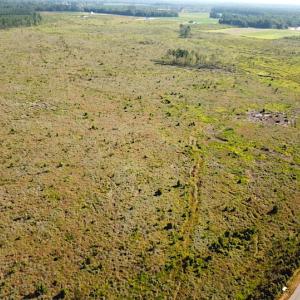 Photo #13 of Off Carolina Rd, Suffolk, VA 115.0 acres