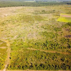 Photo #14 of Off Carolina Rd, Suffolk, VA 115.0 acres