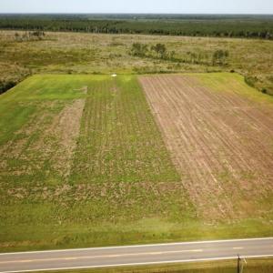 Photo #15 of Off Carolina Rd, Suffolk, VA 115.0 acres