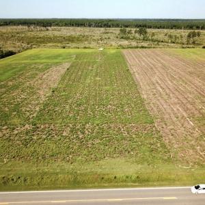 Photo #16 of Off Carolina Rd, Suffolk, VA 115.0 acres