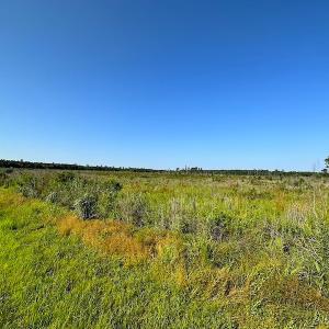 Photo #21 of SOLD property in Off Carolina Rd, Suffolk, VA 115.0 acres