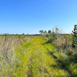 Photo #24 of SOLD property in Off Carolina Rd, Suffolk, VA 115.0 acres