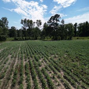 Photo #12 of SOLD property in 2050 Firestone Parkway, Wilson, NC 31.9 acres