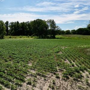 Photo #13 of SOLD property in 2050 Firestone Parkway, Wilson, NC 31.9 acres