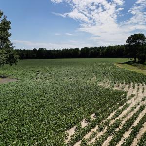 Photo #14 of SOLD property in 2050 Firestone Parkway, Wilson, NC 31.9 acres