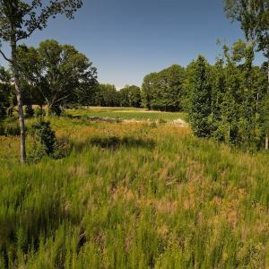 Photo #16 of SOLD property in 2050 Firestone Parkway, Wilson, NC 31.9 acres