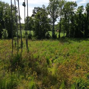Photo #18 of SOLD property in 2050 Firestone Parkway, Wilson, NC 31.9 acres