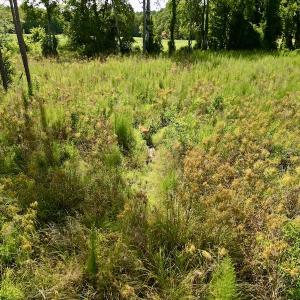 Photo #19 of SOLD property in 2050 Firestone Parkway, Wilson, NC 31.9 acres
