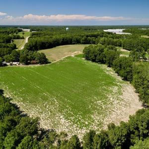 Photo #4 of SOLD property in 2050 Firestone Parkway, Wilson, NC 31.9 acres