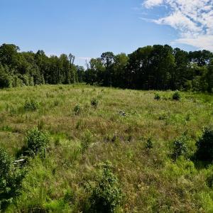 Photo #9 of SOLD property in 2050 Firestone Parkway, Wilson, NC 31.9 acres
