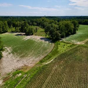 Photo #10 of SOLD property in 2050 Firestone Parkway, Wilson, NC 31.9 acres