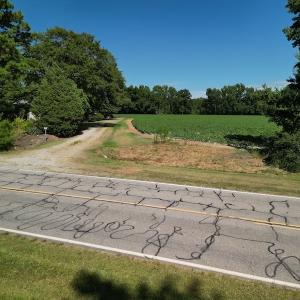 Photo #26 of SOLD property in 2050 Firestone Parkway, Wilson, NC 31.9 acres