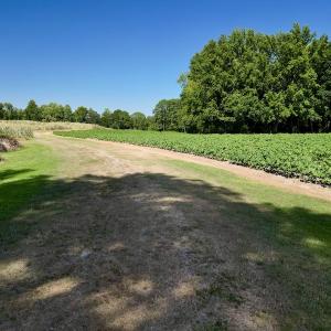 Photo #29 of SOLD property in 2050 Firestone Parkway, Wilson, NC 31.9 acres