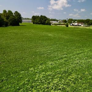 Photo #12 of SOLD property in Off Old Hwy 70, Cove City, NC 11.8 acres