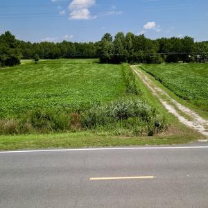 Photo #15 of SOLD property in Off Old Hwy 70, Cove City, NC 11.8 acres