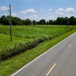 Photo #16 of SOLD property in Off Old Hwy 70, Cove City, NC 11.8 acres