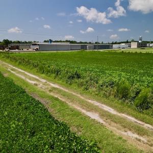 Photo #19 of SOLD property in Off Old Hwy 70, Cove City, NC 11.8 acres