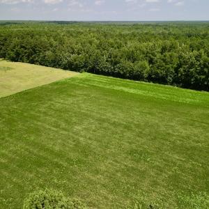 Photo #5 of SOLD property in Off Old Hwy 70, Cove City, NC 11.8 acres