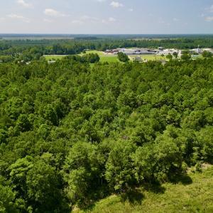 Photo #7 of SOLD property in Off Old Hwy 70, Cove City, NC 11.8 acres