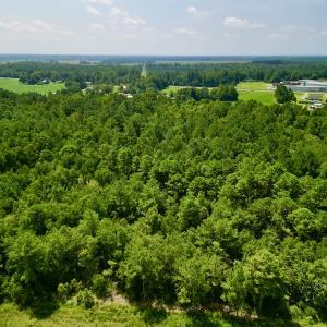 Photo #8 of SOLD property in Off Old Hwy 70, Cove City, NC 11.8 acres