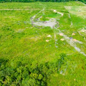 Photo #8 of SOLD property in Off Hughes Mill Road, Lot 11, Burlington, NC 6.3 acres