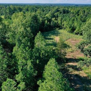 Photo #39 of SOLD property in 46 Dennis Road, Wadesboro, NC 25.2 acres