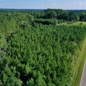 Photo #41 of SOLD property in 46 Dennis Road, Wadesboro, NC 25.2 acres