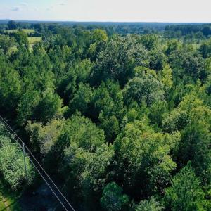 Photo #42 of SOLD property in 46 Dennis Road, Wadesboro, NC 25.2 acres