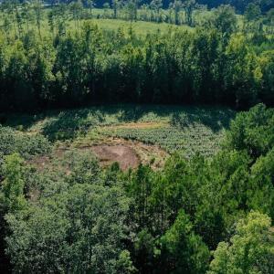 Photo #43 of SOLD property in 46 Dennis Road, Wadesboro, NC 25.2 acres