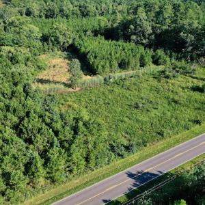 Photo #46 of SOLD property in 46 Dennis Road, Wadesboro, NC 25.2 acres