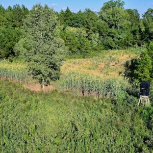 Photo #47 of SOLD property in 46 Dennis Road, Wadesboro, NC 25.2 acres
