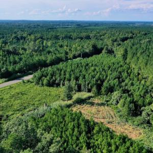 Photo #48 of SOLD property in 46 Dennis Road, Wadesboro, NC 25.2 acres