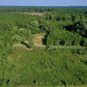 Photo #49 of SOLD property in 46 Dennis Road, Wadesboro, NC 25.2 acres